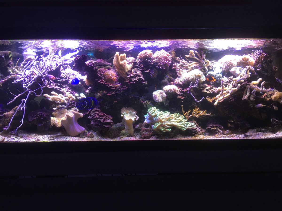 FTS after cleaning.JPG