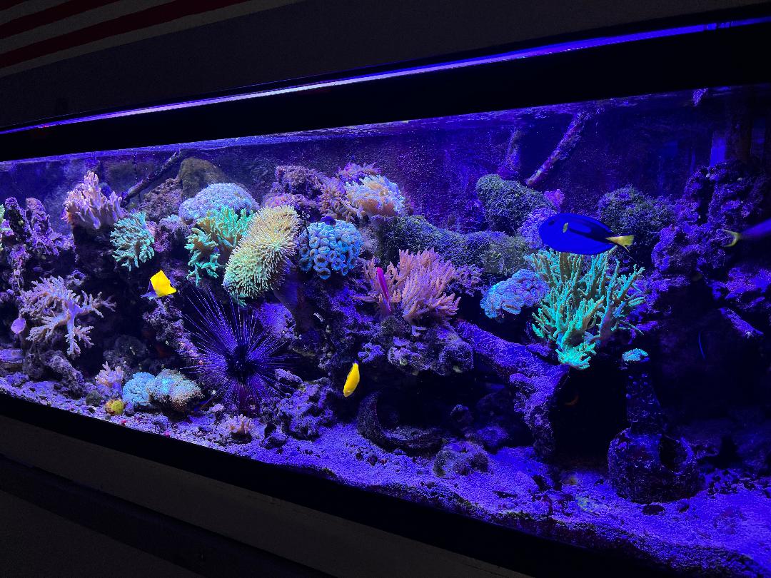 FTS April.jpg
