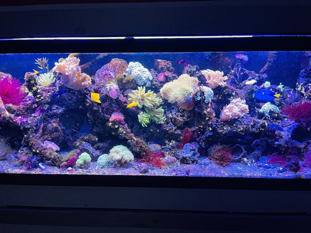 FTS Aug.jpg