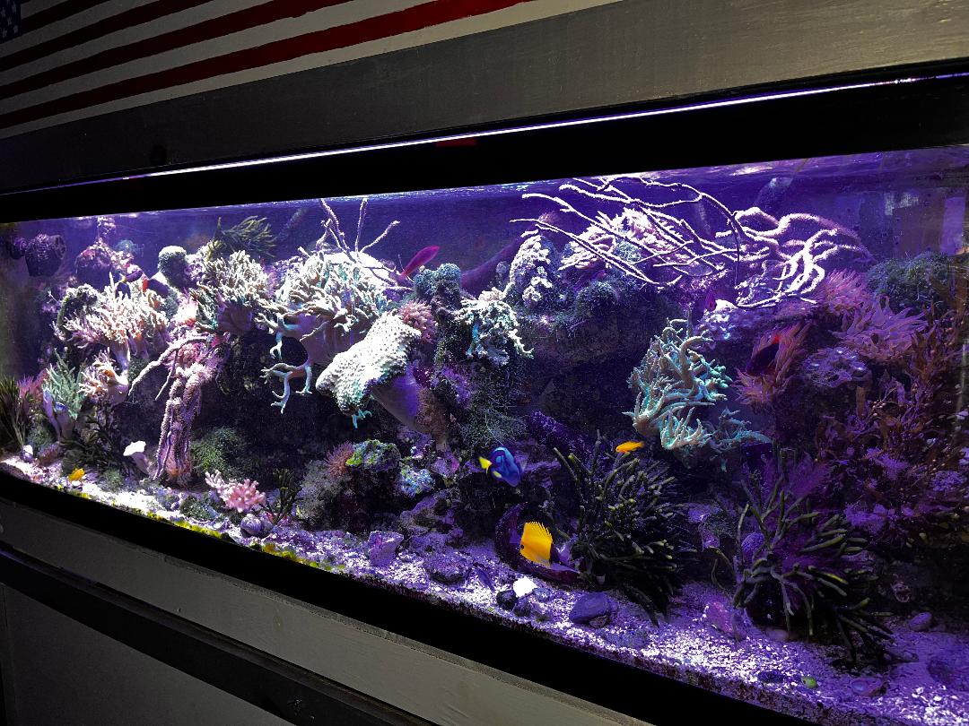 FTS August.jpg
