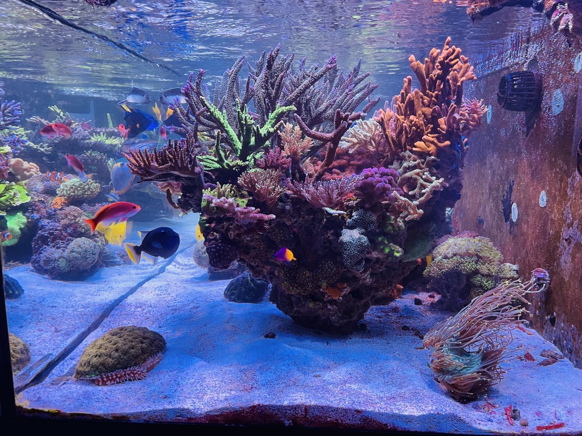 FTS - end shot 2.jpeg