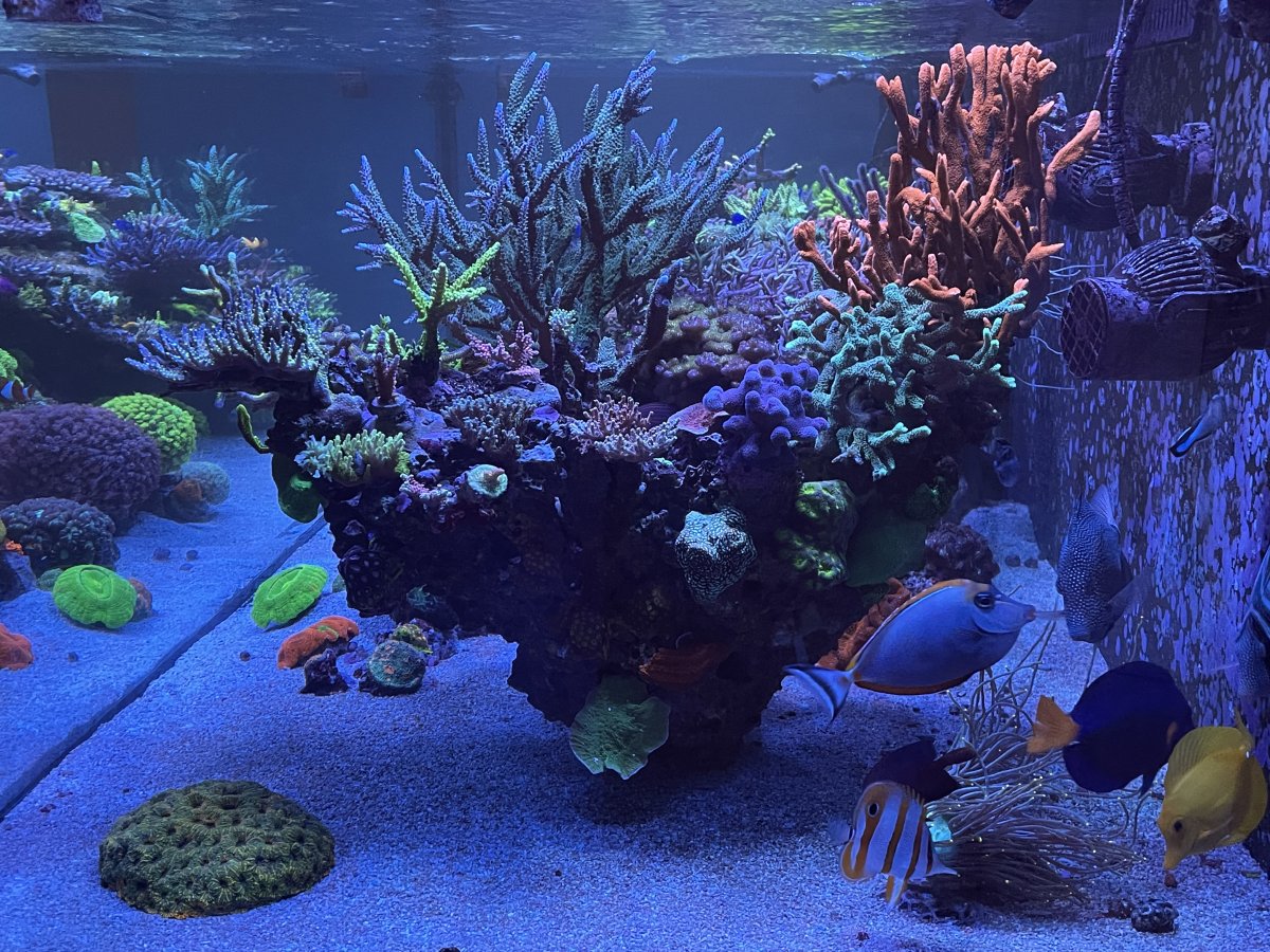 FTS - end shot.jpeg