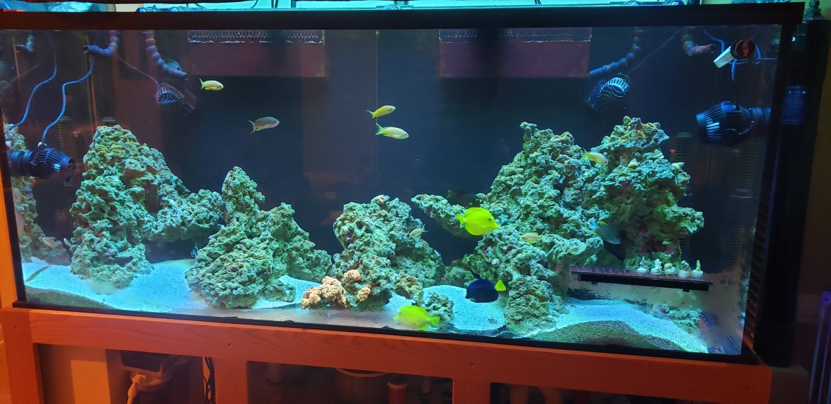 FTS filter.jpg