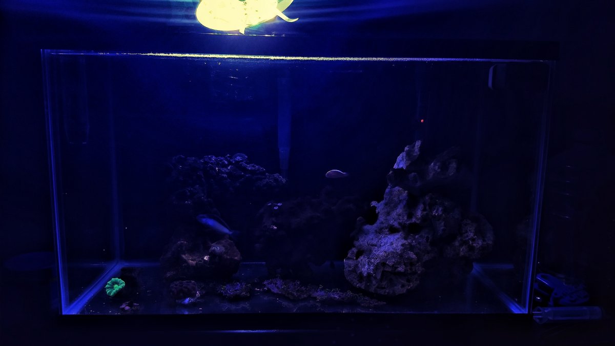 FTS.jpeg