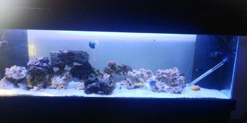 fts.jpg