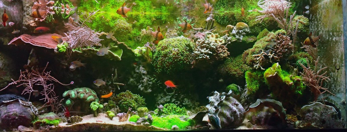 fts.jpg