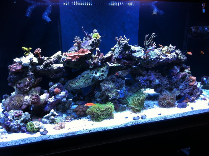 FTS.jpg