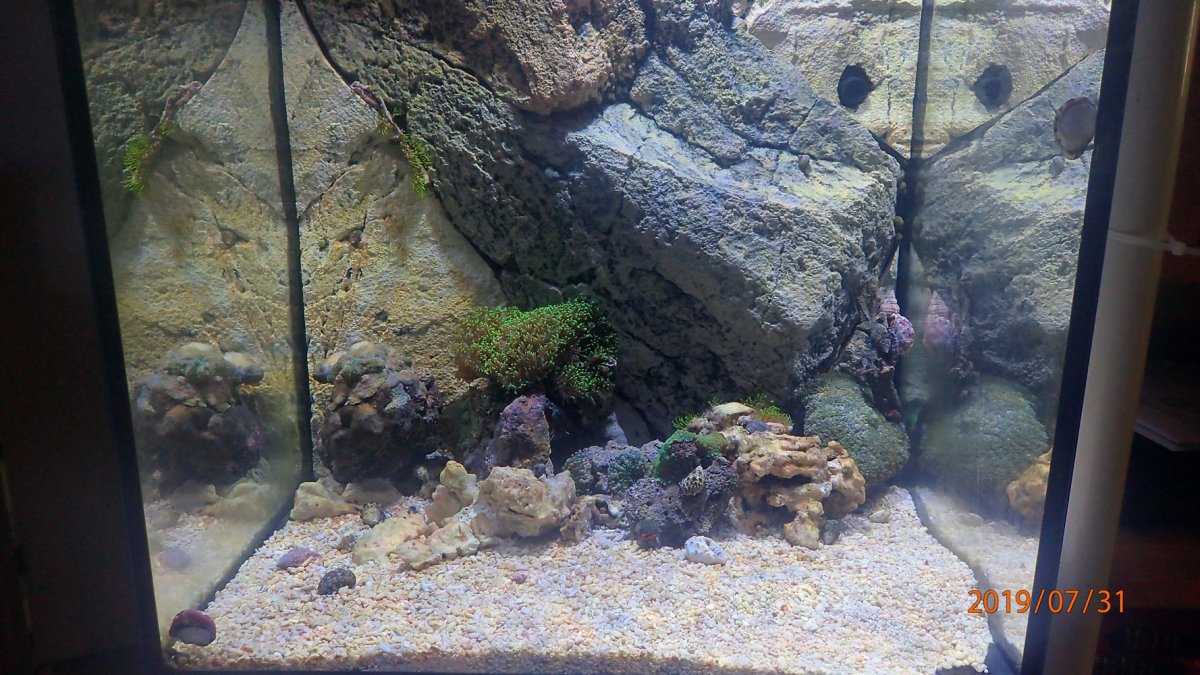 FTS.jpg