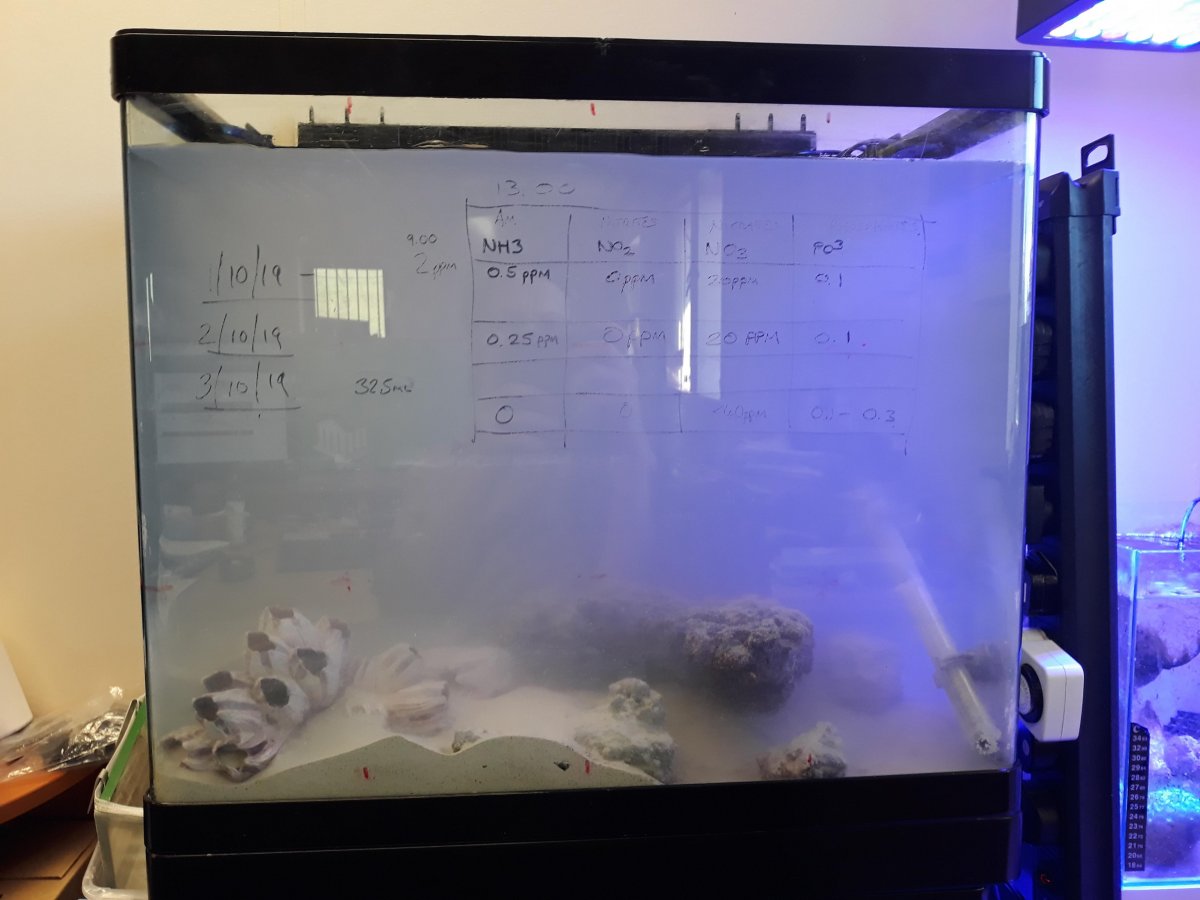 FTS.jpg