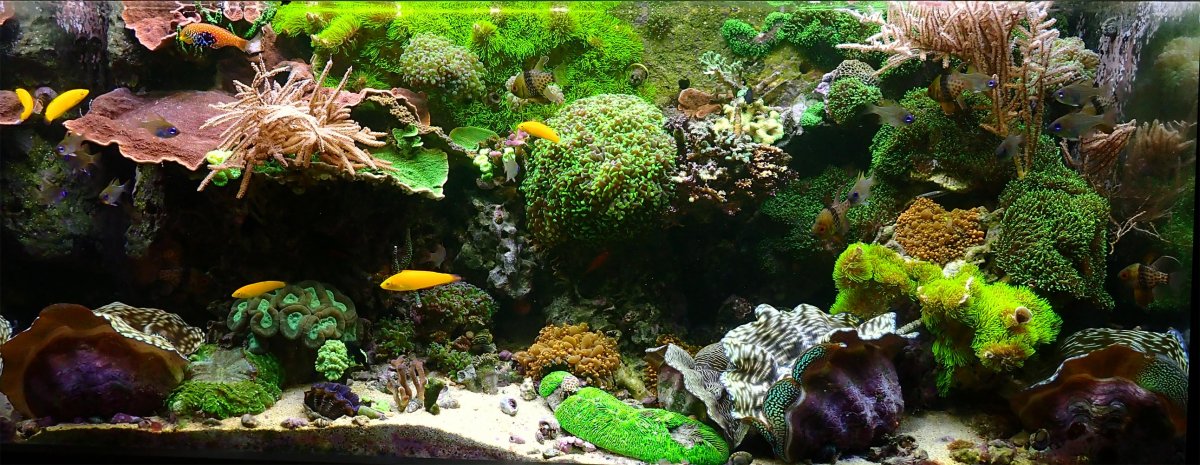 FTS.jpg