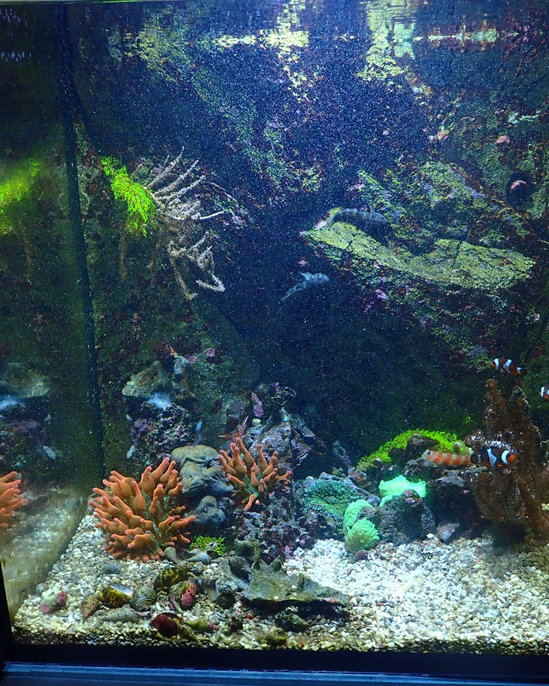 FTS.jpg