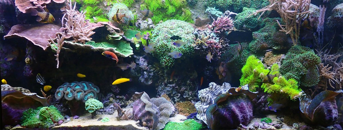 fts.jpg