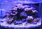 FTS.jpg