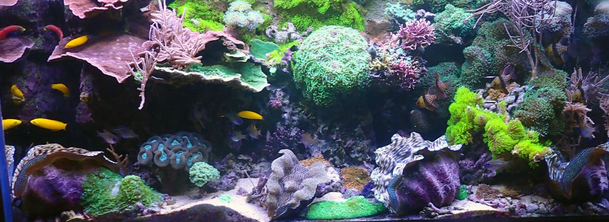 fts.jpg