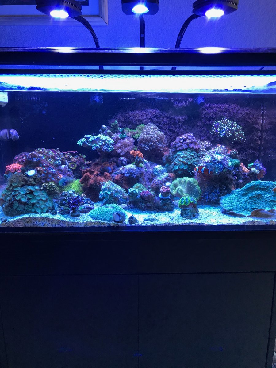 FTS.jpg