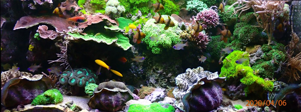 FTS.jpg