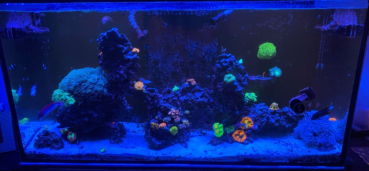 fts.jpg