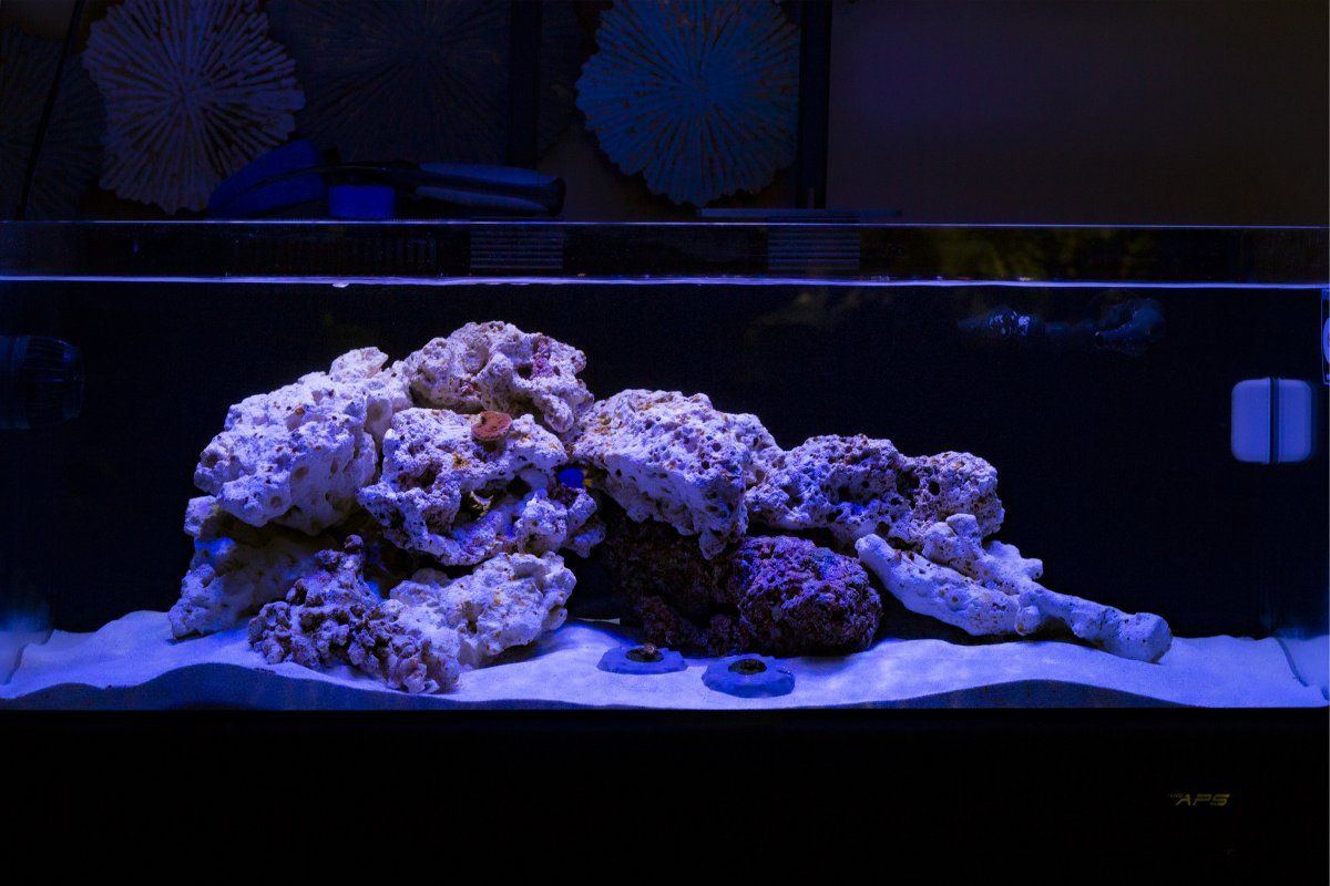 FTS.jpg
