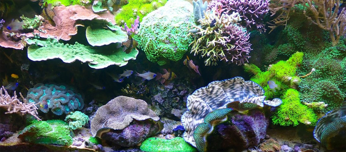 FTS.jpg