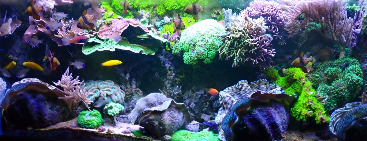 fts.jpg