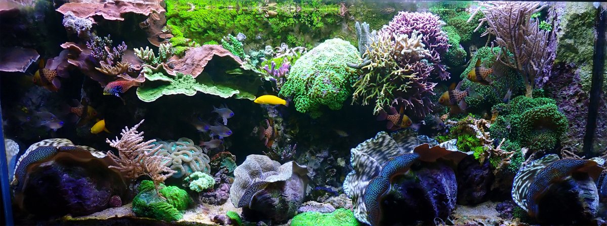 fts.jpg
