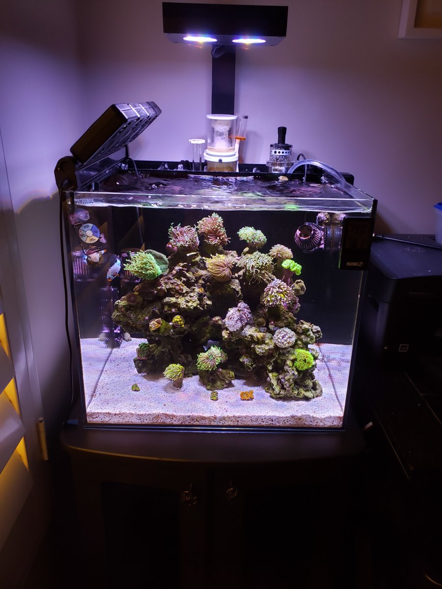 FTS.jpg