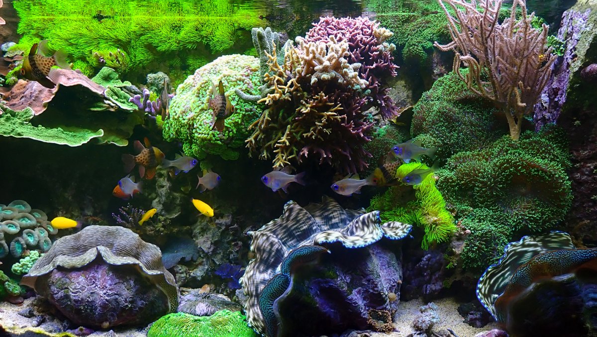 fts.jpg