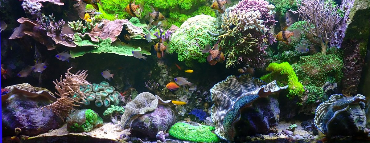 fts.jpg