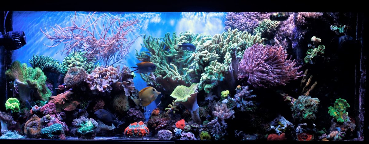 fts.jpg