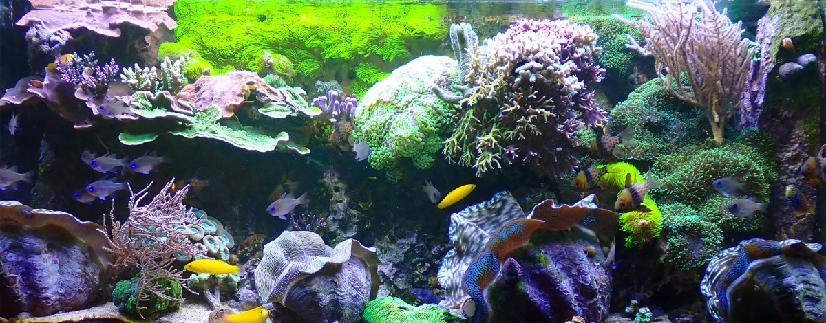 fts.jpg