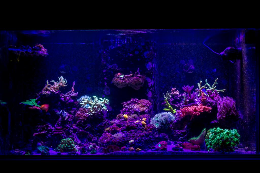 FTS.jpg
