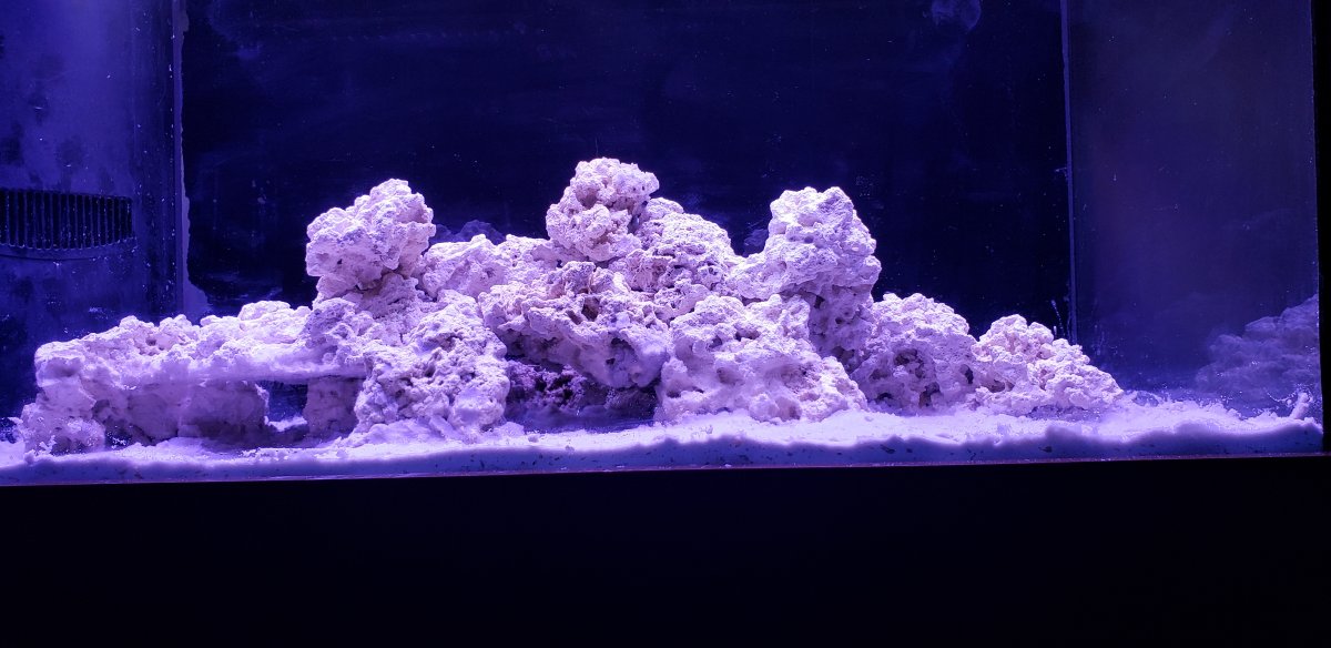 FTS.jpg