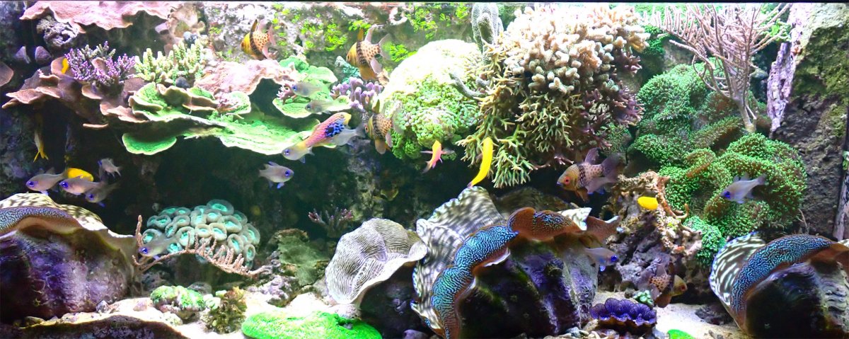 FTS.jpg
