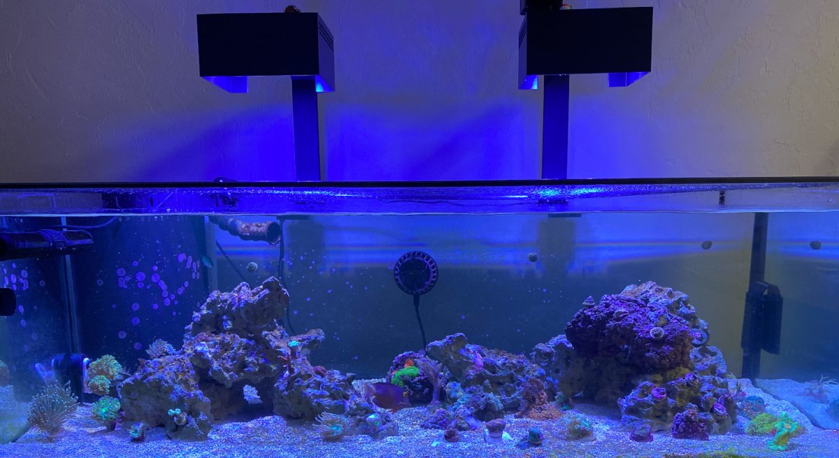 fts.JPG