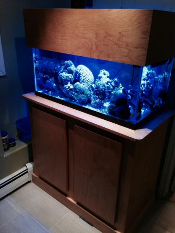 FTS.jpg