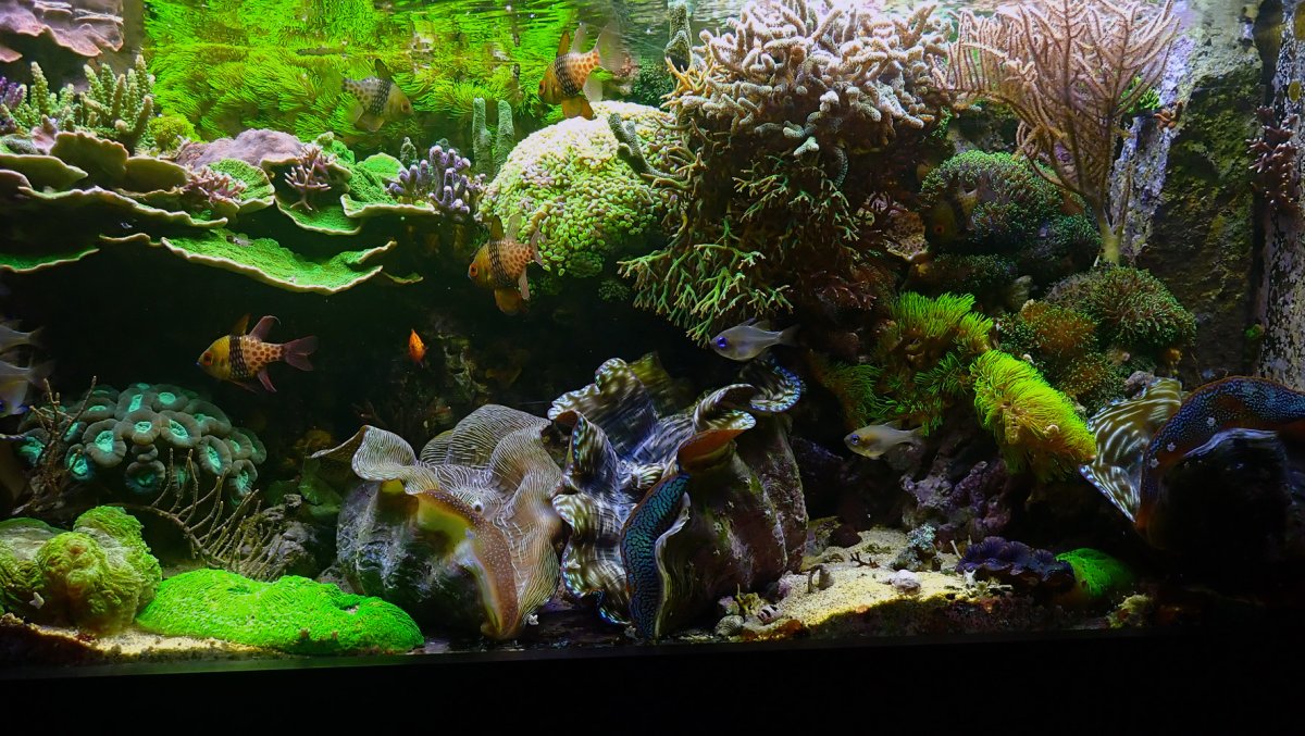 FTS.jpg