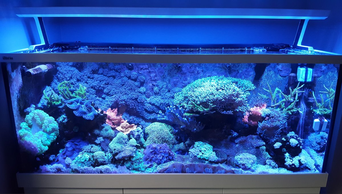 FTS.JPG