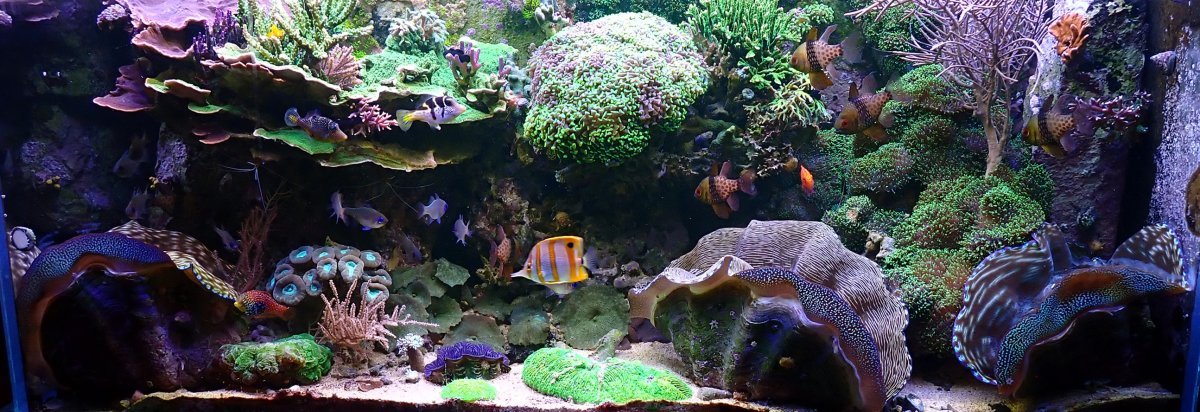 FTS.jpg