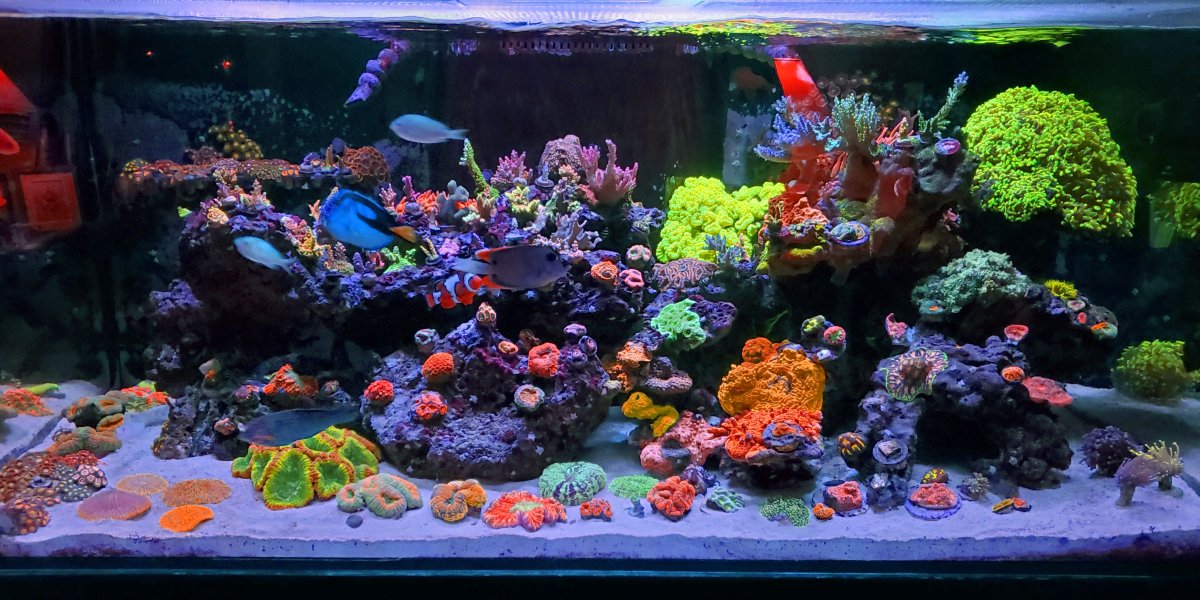 FTS.jpg