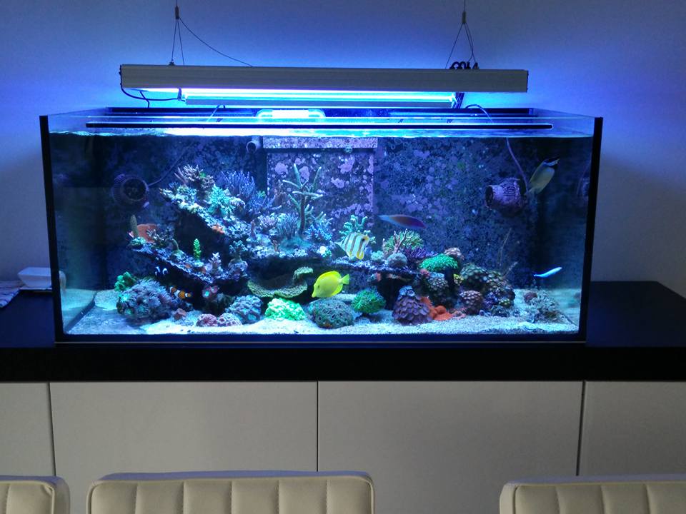 fts.jpg