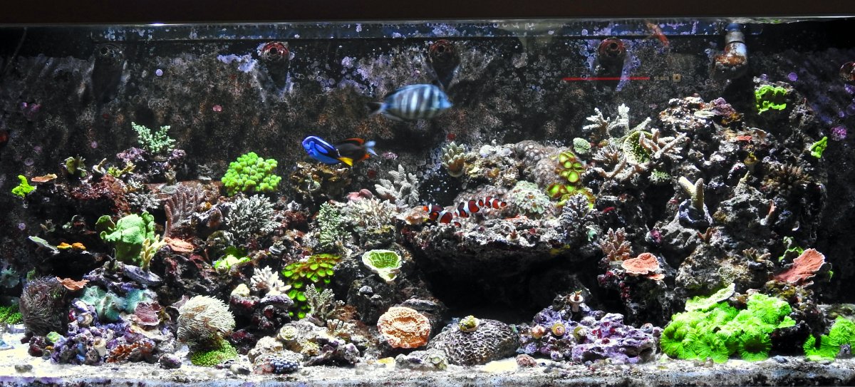 FTS.jpg