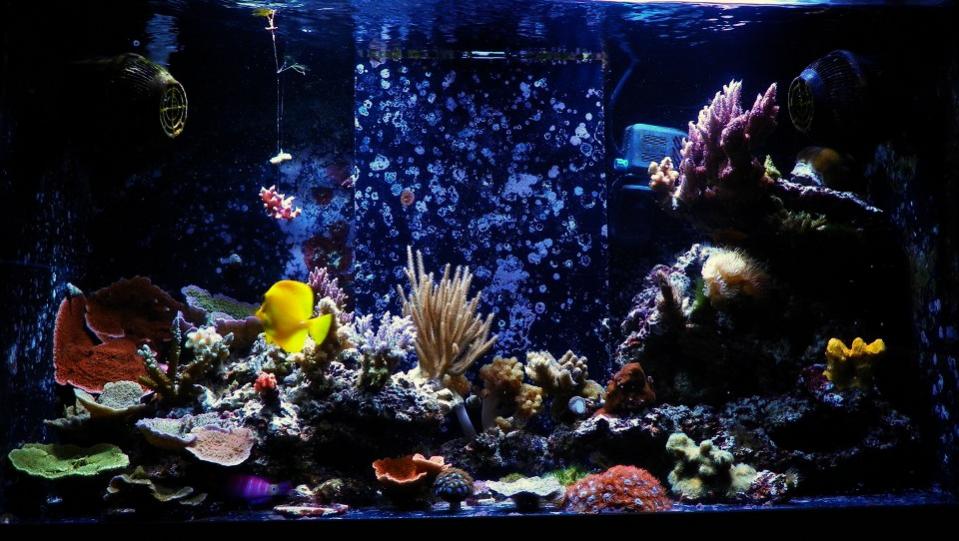 fts.jpg