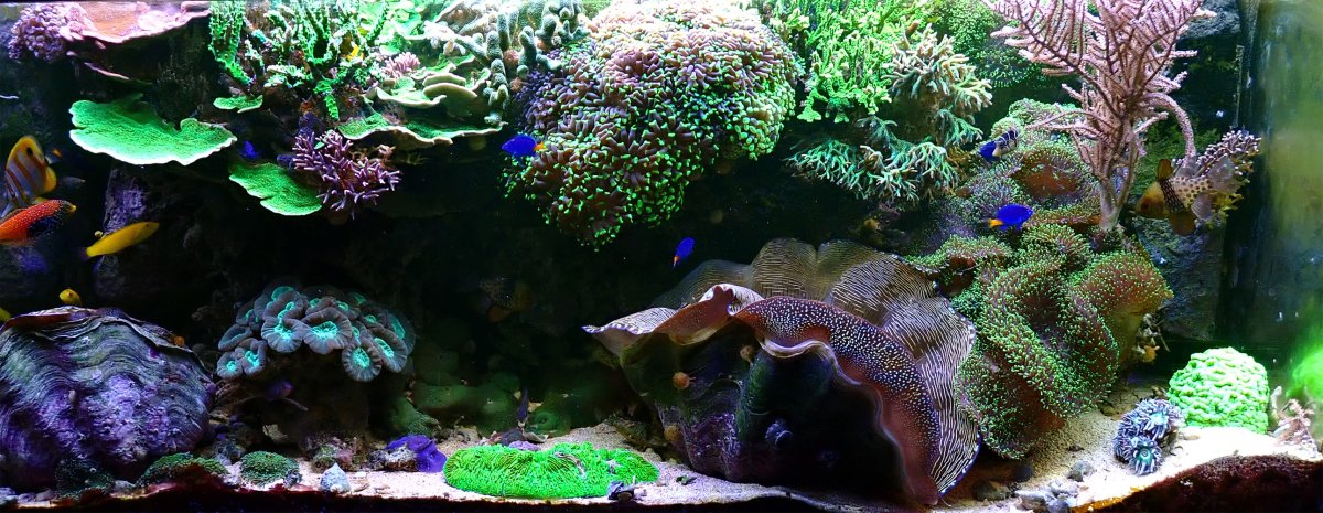 FTS.jpg