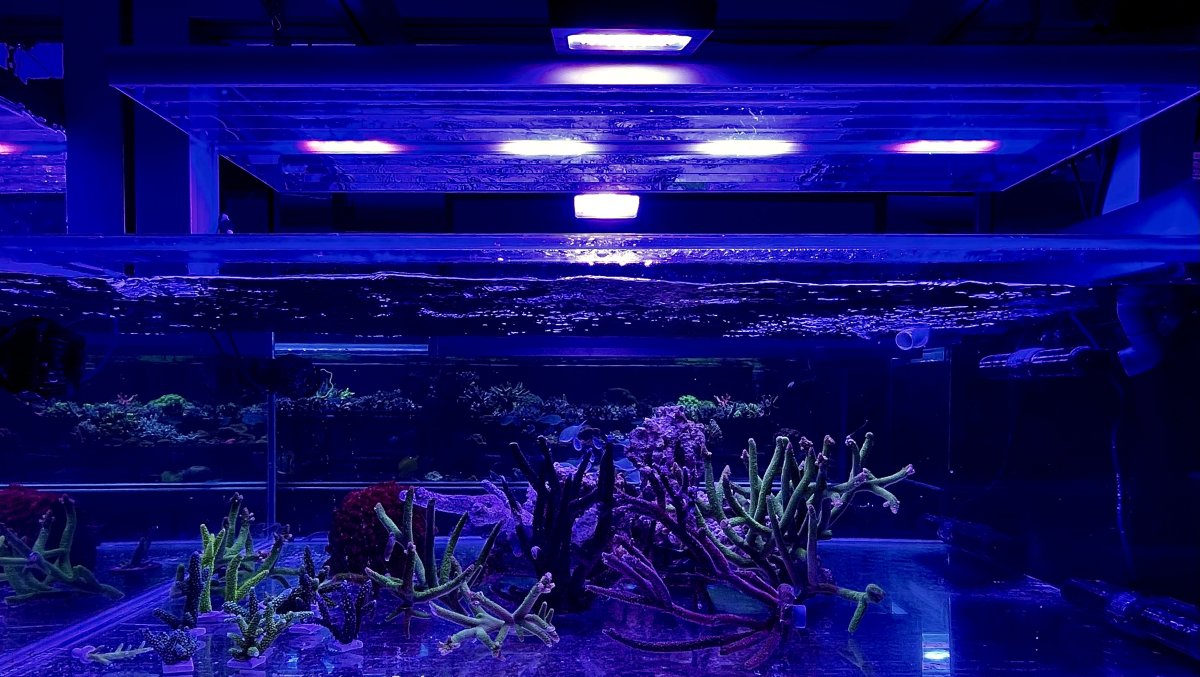 FTS.jpg