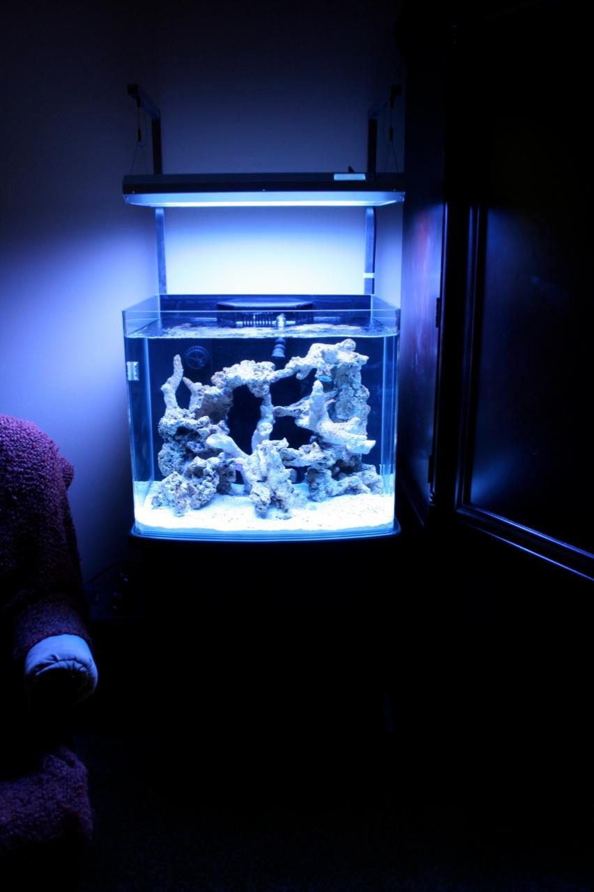 FTS.jpg