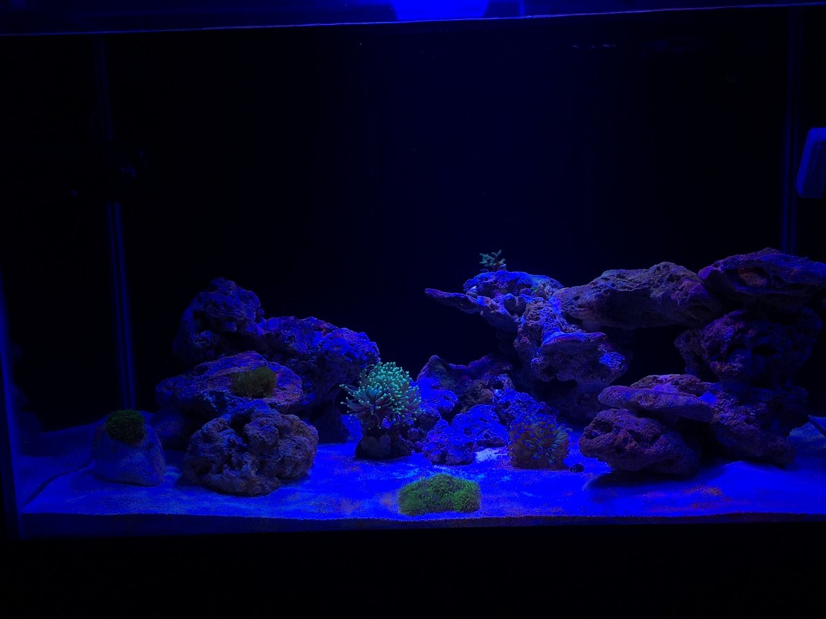 FTS.jpg