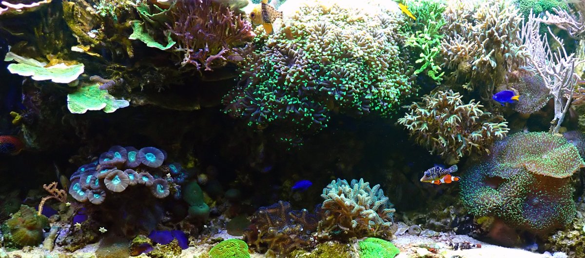 FTS.jpg