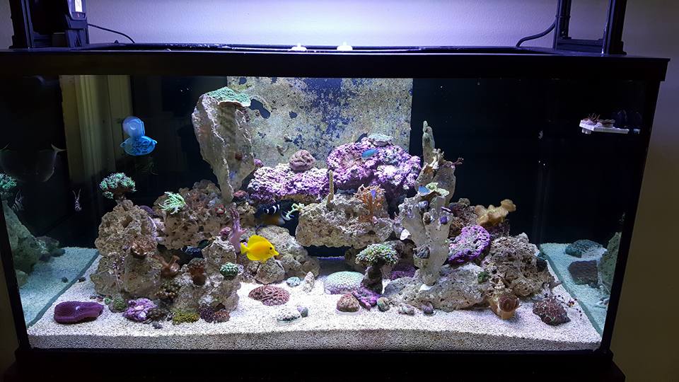 FTS.jpg