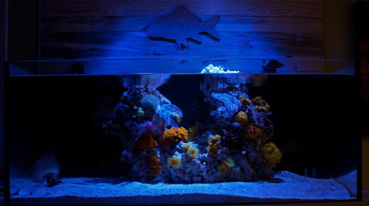 fts.jpg