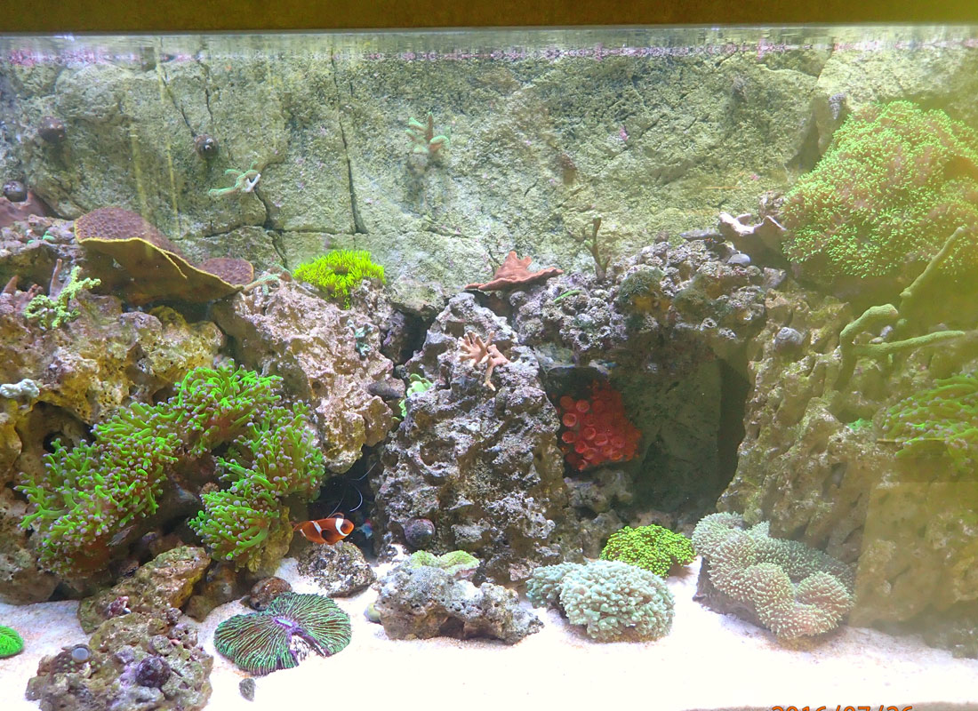 FTS.jpg